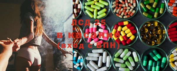 соль ск Вяземский