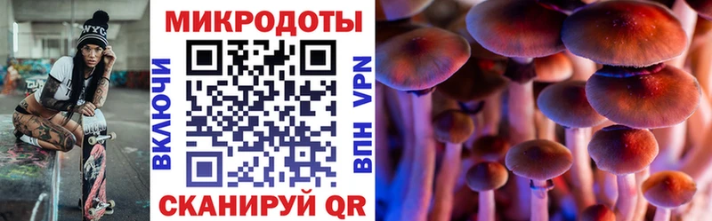 Галлюциногенные грибы мухоморы  закладка  Исилькуль 